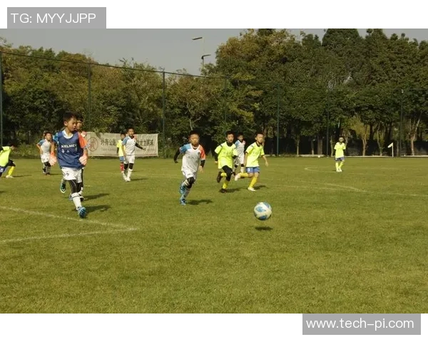 闪耀绿茵场的带灯足球明星们点亮梦想与激情的旅程