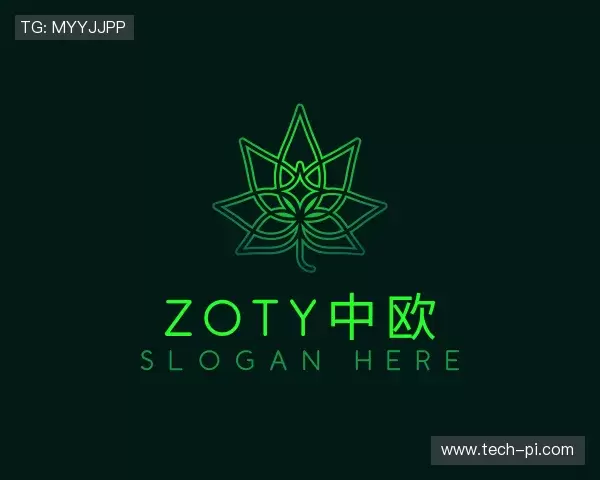 发现zoty中欧